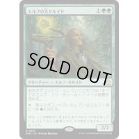 【JPN/FDN】エルフの大ドルイド/Elvish Archdruid [緑] 『R』