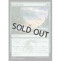 【JPN/TDM】流れ者の日課/Roamer's Routine [緑] 『C』