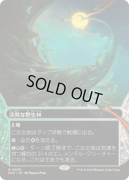 画像1: 【JPN/EOS】活発な野生林/Stirring Wildwood (1)