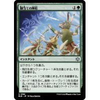 【JPN/BLB】脚当ての陣形/Pawpatch Formation [緑]『U』