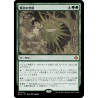 【JPN/BLB】集会の季節/Season of Gathering  [緑]『M』