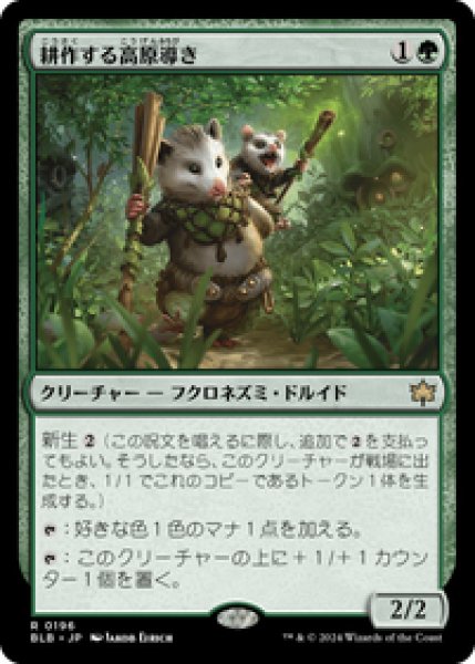 画像1: 【JPN/BLB】耕作する高原導き/Tender Wildguide [緑] 『R』 (1)