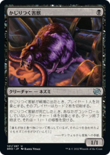 画像1: 【JPN/BRO】かじりつく害獣/Gnawing Vermin [黒] 『U』 (1)