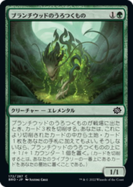 画像1: 【JPN/BRO】ブランチウッドのうろつくもの/Blanchwood Prowler [緑] 『C』 (1)