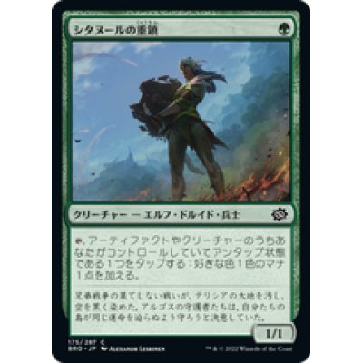 画像1: 【JPN/BRO】シタヌールの重鎮/Citanul Stalwart [緑] 『C』