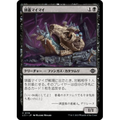 画像1: 【JPN/LCI】頭蓋マイマイ/Skullcap Snail [黒] 『C』