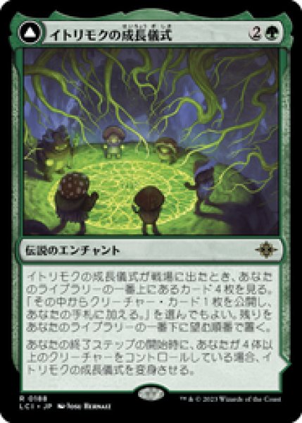 画像1: 【JPN/LCI】イトリモクの成長儀式/Growing Rites of Itlimoc [緑] 『R』 (1)