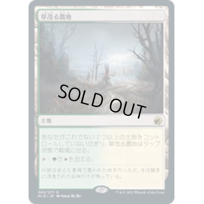 画像1: 【JPN/MID】草茂る農地/Overgrown Farmland [土地] 『R』