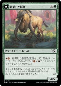 【JPN/MOM】結束した群獣/Bonded Herdbeast [緑] 『C』