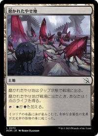 【JPN/MOM】磨かれたやせ地/Scoured Barrens [土地] 『C』