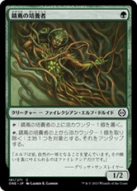 【JPN/ONE】錆蔦の培養者/Rustvine Cultivator [緑] 『C』