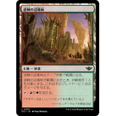 画像1: 【JPN/OTJ】逆棘の辺境林/Bristling Backwoods [土地] 『C』