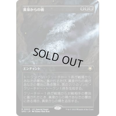 画像1: 【JPN/SPG】黄泉からの橋/Bridge from Below [黒] 『R』