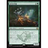 【JPN/TDM】木立の守部/Warden of the Grove [緑] 『R』