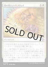 画像: 【JPN/TDM】務め果たさずに死なず/Duty Beyond Death [白] 『U』