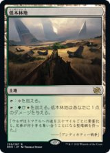 画像: 【JPN/BRO】低木林地/Brushland [土地] 『R』