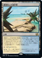 画像: 【JPN/BRO】要塞化した海岸堡/Fortified Beachhead [土地] 『R』