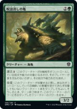 画像: 【JPN/DMU】呪詛消しの亀/Hexbane Tortoise [緑] 『C』