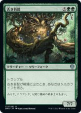 画像: 【JPN/DMU】古き苔髭/Mossbeard Ancient [緑] 『U』