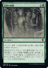 画像: 【JPN/DMU】荒野の偵察 /Scout the Wilderness [緑] 『C』