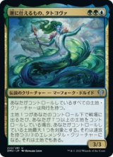 画像: 【JPN/DMU】潮に仕えるもの、タトヨヴァ/Tatyova, Steward of Tides [多色] 『U』