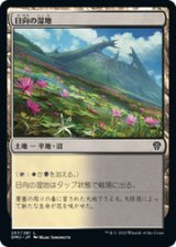 画像: 【JPN/DMU】日向の湿地/Sunlit Marsh [土地] 『C』