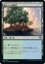 画像: 【JPN/DMU】絡みつく島嶼域/Tangled Islet [土地] 『C』