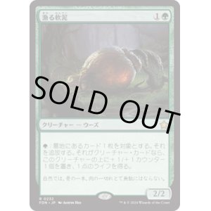 画像: 【JPN/FDN】漁る軟泥/Scavenging Ooze [緑] 『R』