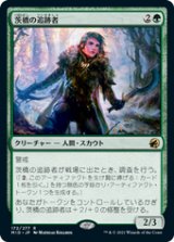 画像: 【JPN/MID】茨橋の追跡者/Briarbridge Tracker [緑] 『R』