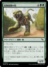 画像: 【JPN/MKM】装飾庭園の豹/Topiary Panther [緑] 『C』