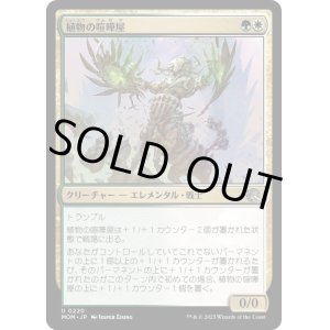 画像: 【JPN/MOM】植物の喧嘩屋/Botanical Brawler [マルチ] 『U』
