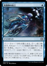 画像: 【JPN/ONE】有貌体の向上/Aspirant's Ascent [青] 『C』