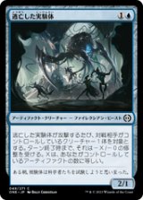 画像: 【JPN/ONE】逃亡した実験体/Escaped Experiment [青] 『C』