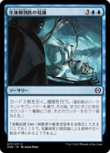 画像: 【JPN/ONE】生体解剖医の見識/Vivisurgeon's Insight [青] 『C』