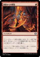 画像: 【JPN/ONE】肉体からの解放/Free from Flesh [赤] 『C』