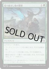 画像: 【JPN/TDM】受け継ぎし地の開墾/Heritage Reclamation [緑] 『C』