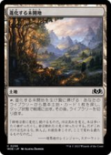 画像: 【JPN/WOE】進化する未開地/Evolving Wilds [土地] 『C』