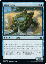 画像1: 【JPN/DMU】潮溜まりの亀/Tidepool Turtle [青] 『C』 (1)