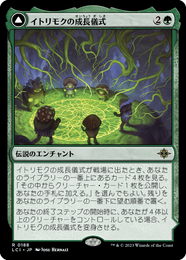 画像1: 【JPN/LCI】イトリモクの成長儀式/Growing Rites of Itlimoc [緑] 『R』 (1)