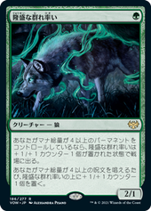 画像1: 【JPN/VOW】隆盛な群れ率い/Ascendant Packleader [緑] 『R』 (1)